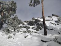 IMG_20191124_134823_01